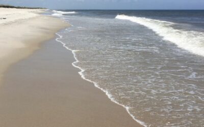 Bald Head Island (BHI), East Beach Walks, NC ~Hope