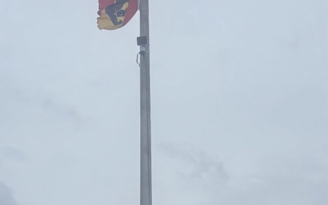 MumFest in the rain, New Bern, NC