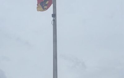 MumFest in the rain, New Bern, NC
