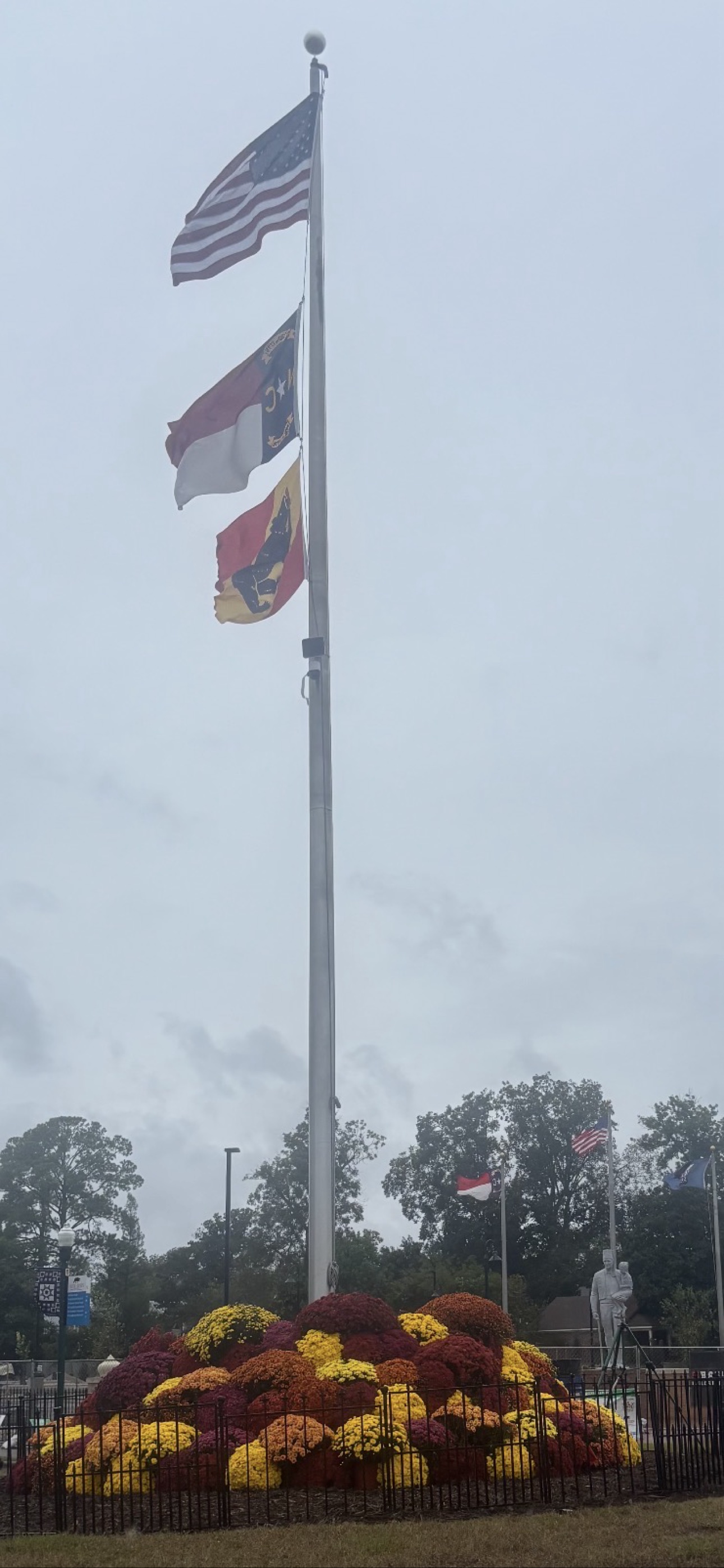 Flags and mums at MumFest, New Bern NC in the rain