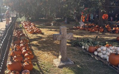 Fall Reflections from the Pumpkin Patch