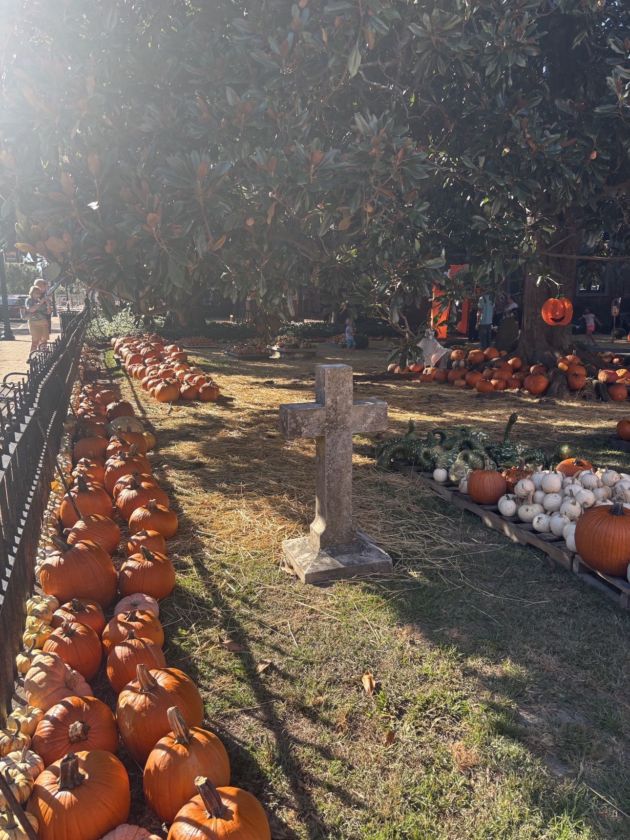 Pumpkin patch at Christ Church, New Bern NC