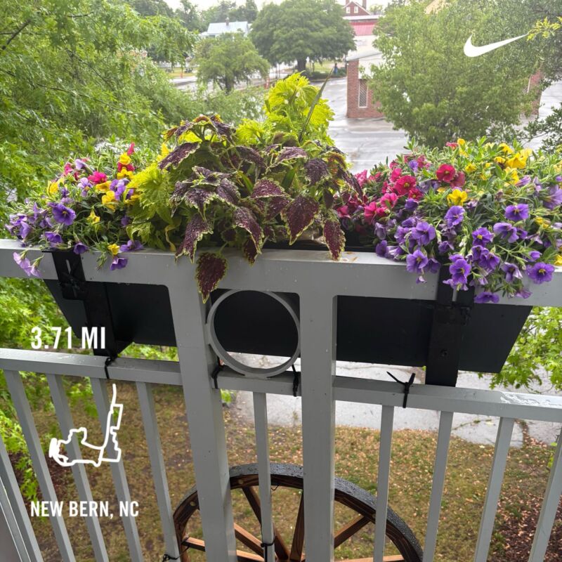 Image for the Tweet beginning: Celebrating another day/year to walk