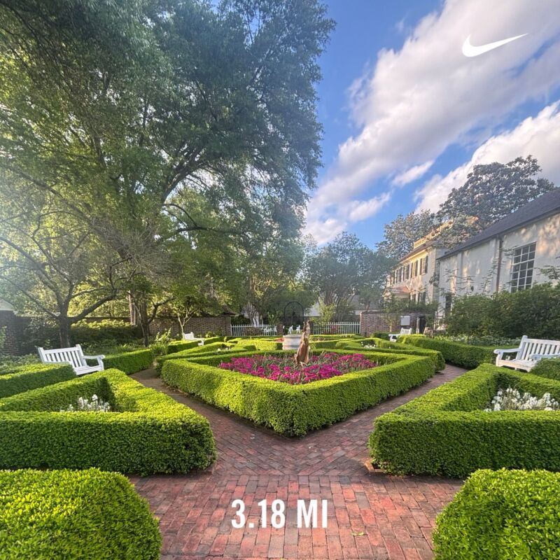 Image for the Tweet beginning: #GetrudeSparrowCarraway Gardens #NewBern #NC A